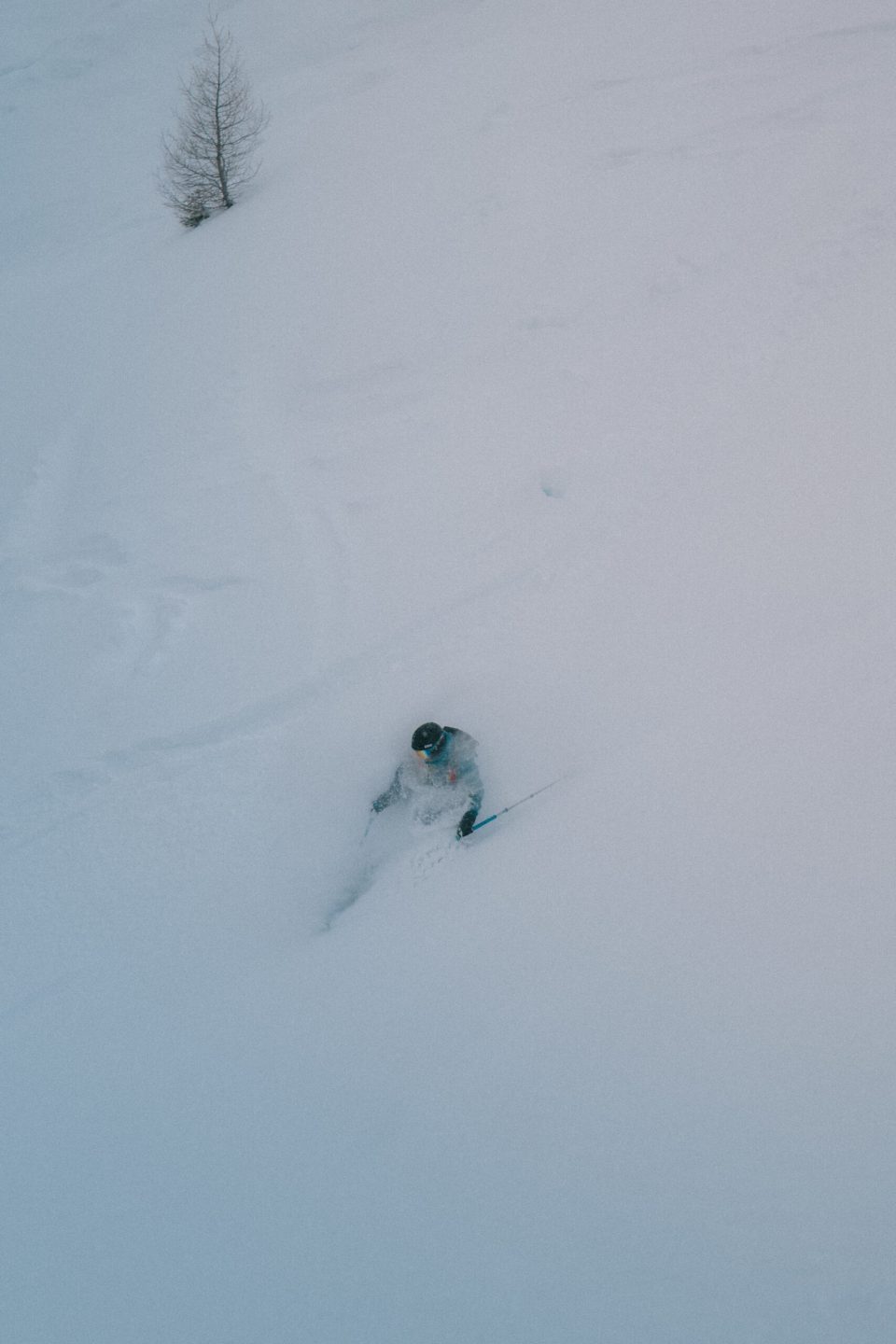 20260110-P1151358-@SimonThomas