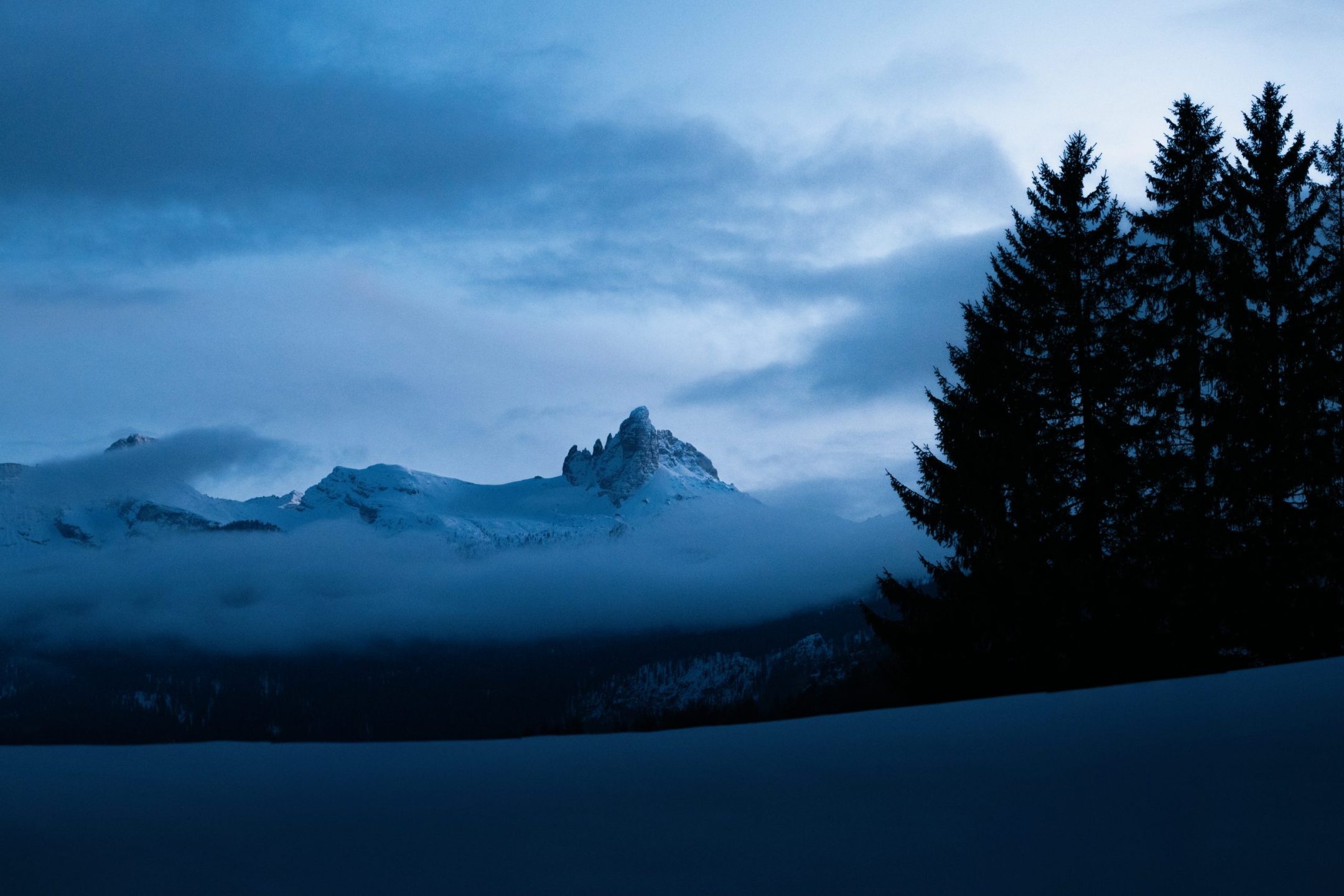 20260207-P1152626-@SimonThomas